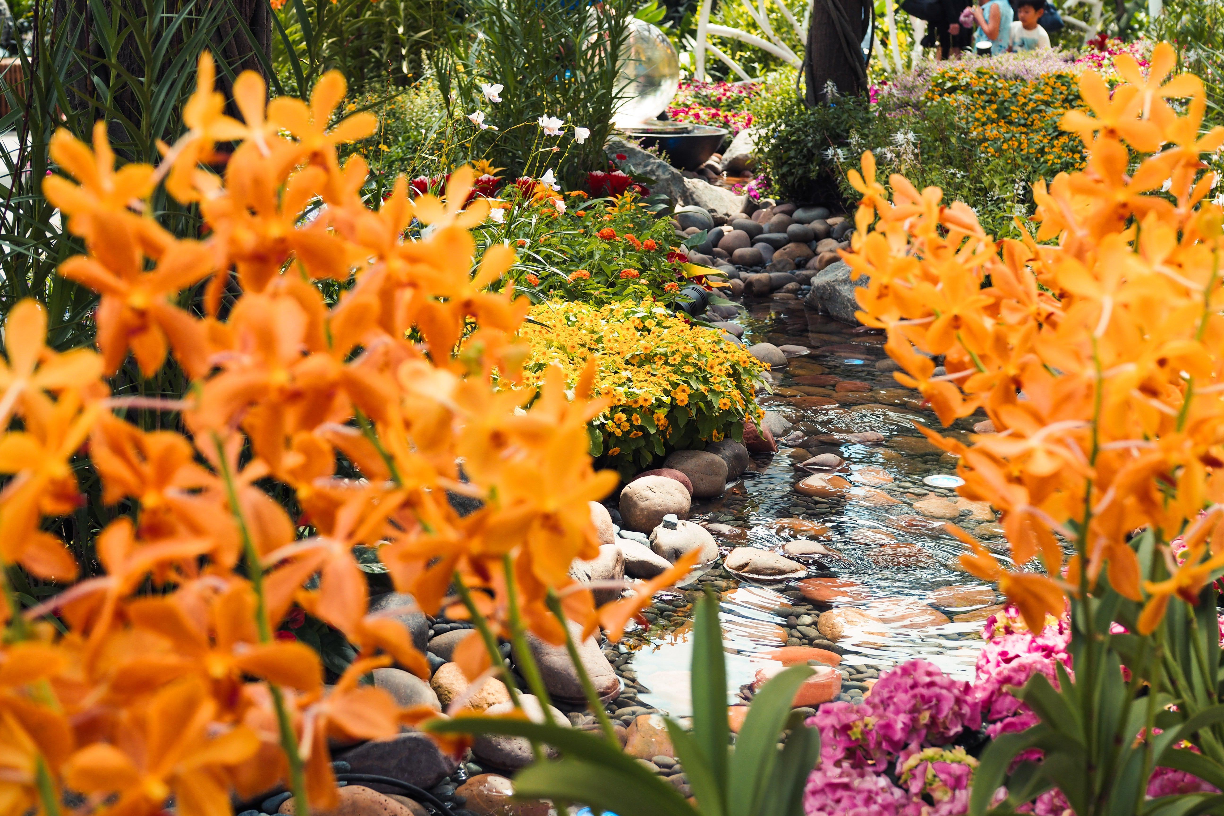 Crowne Plaza Changi Airport By Ihg Σιγκαπούρη Εξωτερικό φωτογραφία The photo depicts a vibrant garden setting filled with an array of colorful flowers and greenery. In the foreground, there are striking orange flowers, which are surrounded by lush foliage. A winding stream can be seen, with smooth stones lining its 