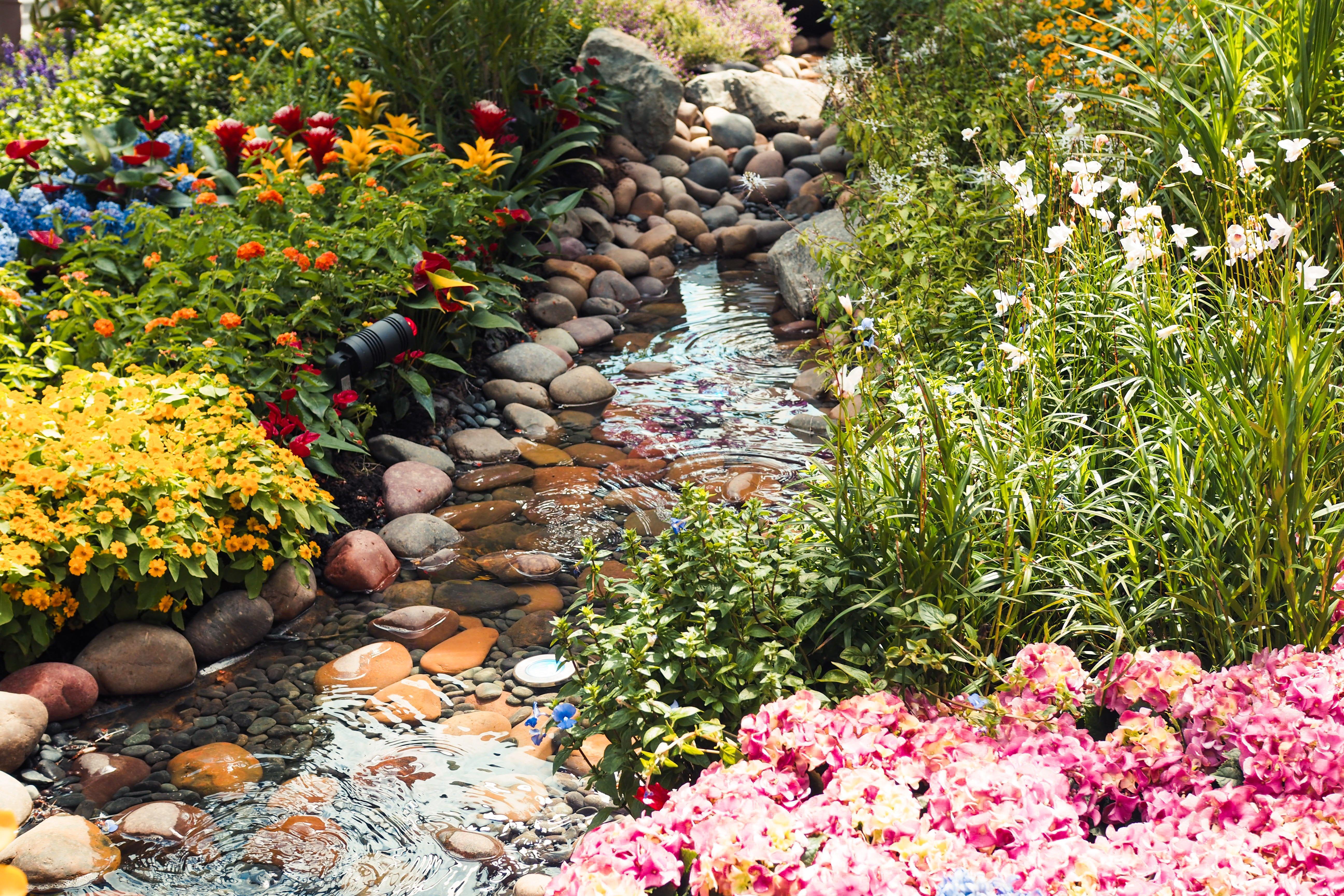 Crowne Plaza Changi Airport By Ihg Σιγκαπούρη Εξωτερικό φωτογραφία The photo depicts a serene garden scene featuring a small, gently flowing stream meandering through an array of colorful flowers and plants. On either side of the stream, vibrant blooms can be seen, including clusters of yellow and pink flowers, alon