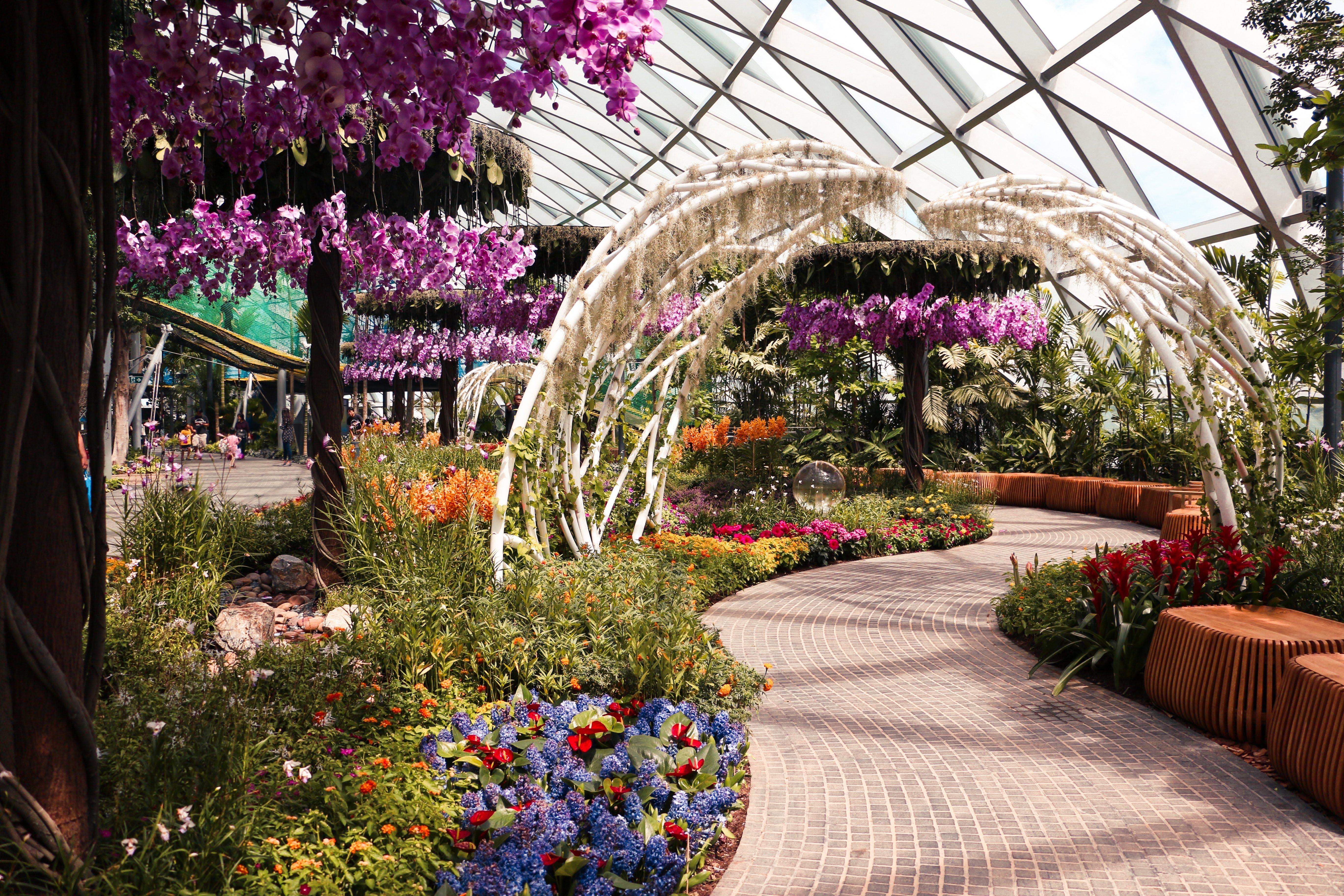 Crowne Plaza Changi Airport By Ihg Σιγκαπούρη Εξωτερικό φωτογραφία The photo depicts a beautiful indoor garden featuring vibrant flowers and lush greenery. The scene includes colorful floral arrangements, notably with purple orchids hanging from the ceiling. A winding path made of stone leads through the garden, fla